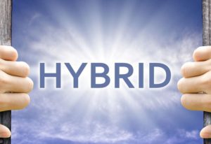 Hybrid photo